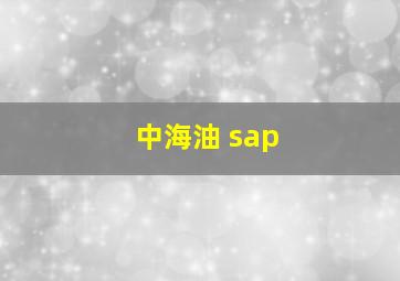 中海油 sap